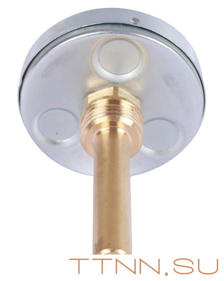 Термометр биметаллический с погружной гильзой Watts F+R801 (T) 63/75