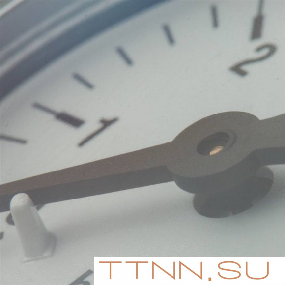 Манометр радиальный Watts F+R200 (MDR) 80/ 6x1/2"