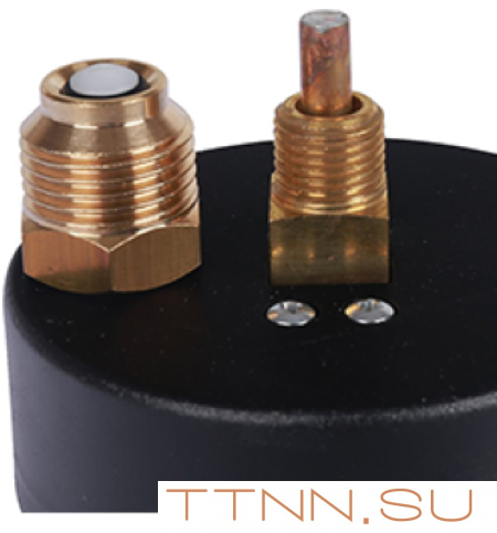 Термоманометр аксиальный Watts FR 818 (TMAX) 2,5 бар