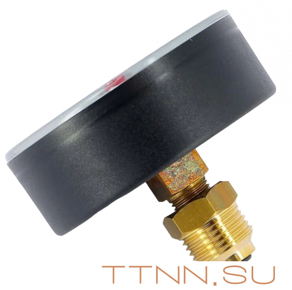 Термоманометр аксиальный Watts FR 818 (TMAX) 6 бар